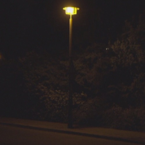 Urban nightingale – 1am, Alt-treptow, Berlin