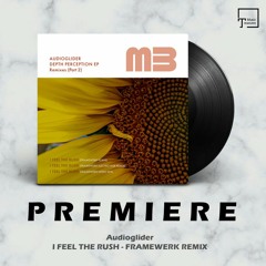 PREMIERE: Audioglider - I Feel The Rush (Framewerk Remix) [MELODIC BEATS RECORDINGS]