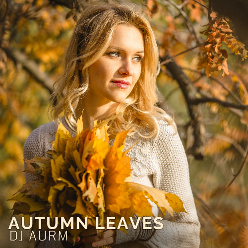DJ AURM - Autumn Leaves