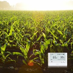 The Internet Of Things Smart Farming Business