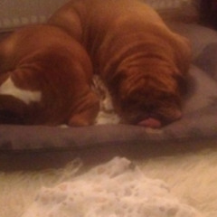 Dj ARG-April Mourning Tape 2025