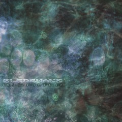 DC Promo Tracks: Birdsnake "Slipstream"