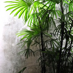 2025 - 02 - 23 - Retrograde