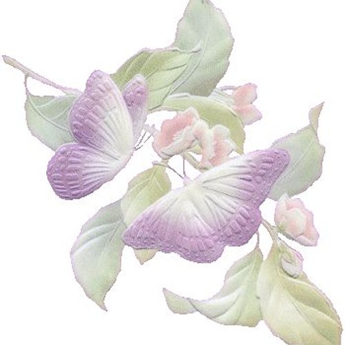 petunia + babyxi (prod.webster)