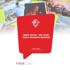Neşet Ertaş – Bir Garip yahut Bozkırın Tezenesi