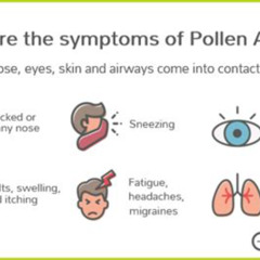 Best Pollen Allergy Eyes Treatment Reviews