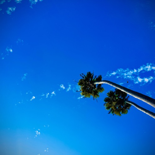 The Kage - Spring Time