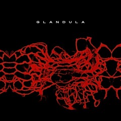 Glandula @ Taj Mohon - 2023 - 09 - 12