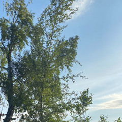 Not the same (@ProdPearsy x @Thankyouwill)