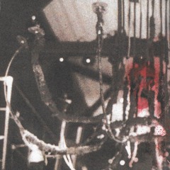 sub - asf (injury, jp)