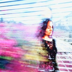 J'aime les vidéos de loutres