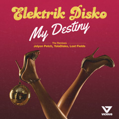 My Destiny (YolaDisko Remix)