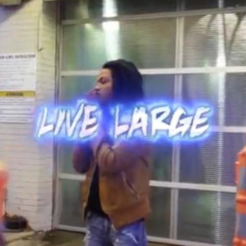 DANNY PHANTOM - LIVE LARGE