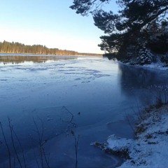 Herrvinter Se Våren Nalkas