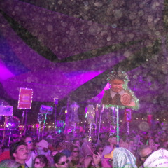 Bounce and Bass: REC-2025-01-25