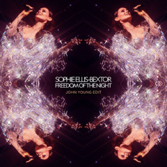 Sophie Ellis-Bextor - Freedom of the Night (John Young Extended Mix)