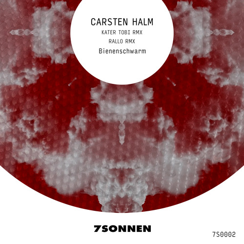 Bienenschwarm (Kater Tobi Remix)