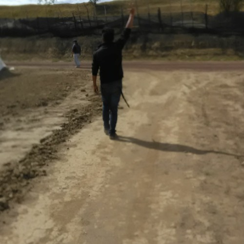 zz