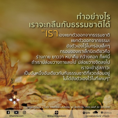 ปลดปล่อยคุกที่ขังใจเรา :: หลวงพ่อปราโมทย์ 10 พ.ย. 2562 (621110B)