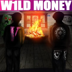 W1LD MONEY (ft. weirox)