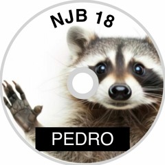NJB 18 PEDRO