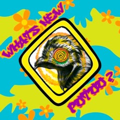 WHATS NEW POTOO?