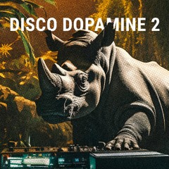DISCO DOPAMINE 2 | MINIMIX - RHINO SOULSYSTEM