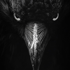 Hoed (Prod. Babyboywildn)