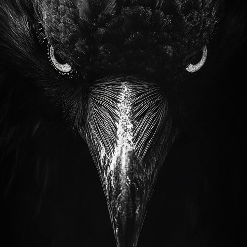 Hoed (Prod. Babyboywildn)