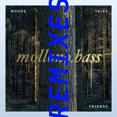 PREMIERE : Mollono.Bass - Your Smile (Stephan Zovsky Remix) [3000 Grad Records]