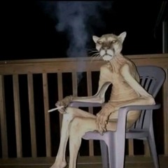 Olvem - un estúpido  (crudo) (maqueta)