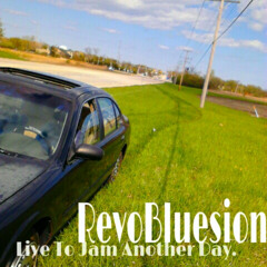 ReVoBlusion SRV tribute