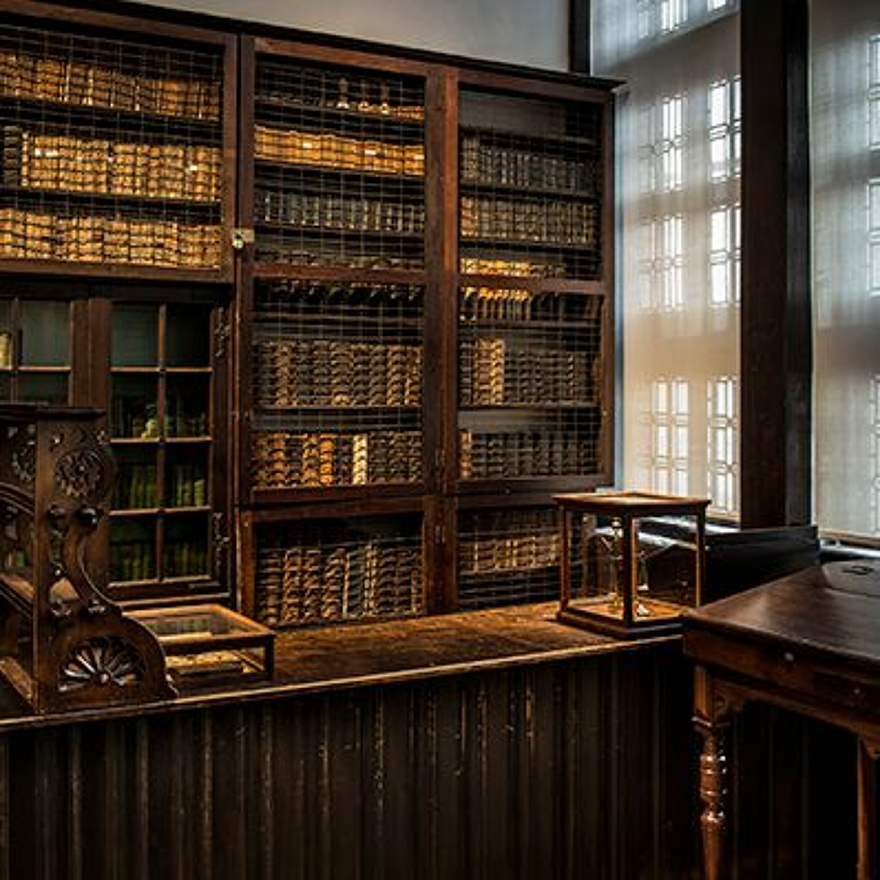 Verhalen uit Museum Plantin-Moretus
