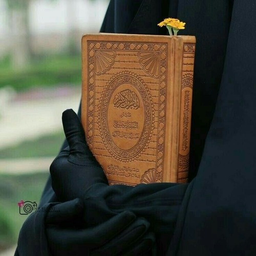 هاقد وصلت لفرحتي  😊🤍 عمار صرصر
