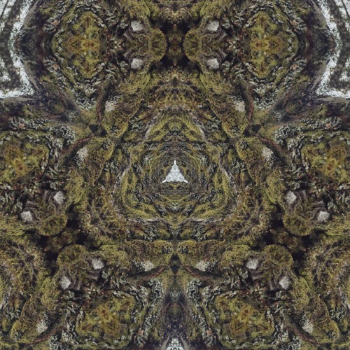 Trinfinity - Ascending from darkness