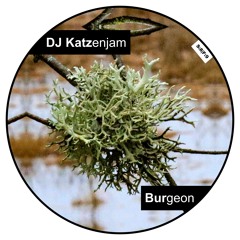 DJ Katzenjam - Burgeon [WortzumSonntag#72]