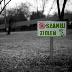 nie badz jelen