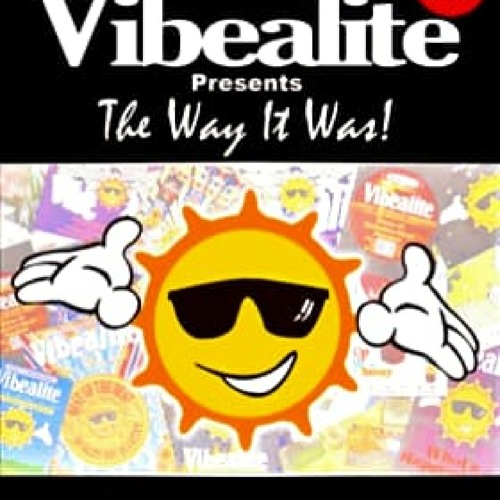 Stu Allan  - Vibealite The Way It Was