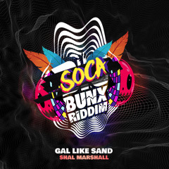 Soca 2024