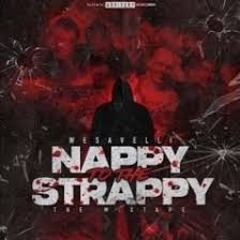 WESAVELLI-THE LESSON-SCOUSE 💯❄️