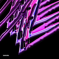 Sonido Clandestino (Hyper Trvshit Remix)