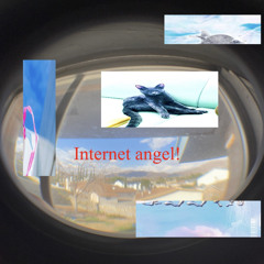 internet angel