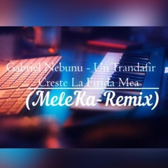 Gabriel Nebunu - Un Trandafir Creste La Firida Mea (MeleKa - Remix)