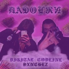 Digital Codeine + Sxnchez - Падонки