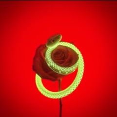 Tell Me What You Need_Mastered.wav