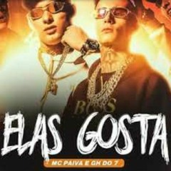 Elas Gosta - MC Paiva ZS, MC DO 7