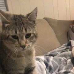 hey there, how’s life?