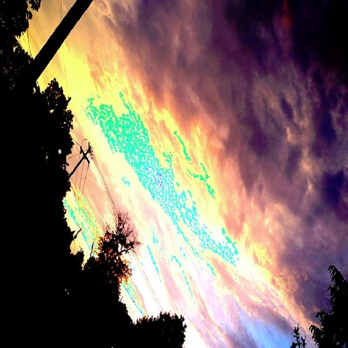 WildFire