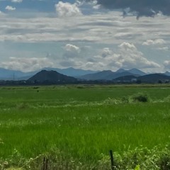 nostalgia w/ueca (2021)