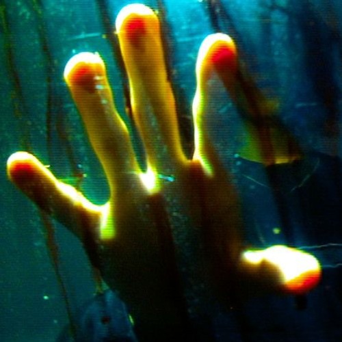 Kmoe - Linoleum (slowed + reverb)